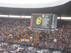 Pic - Pumas fans 2